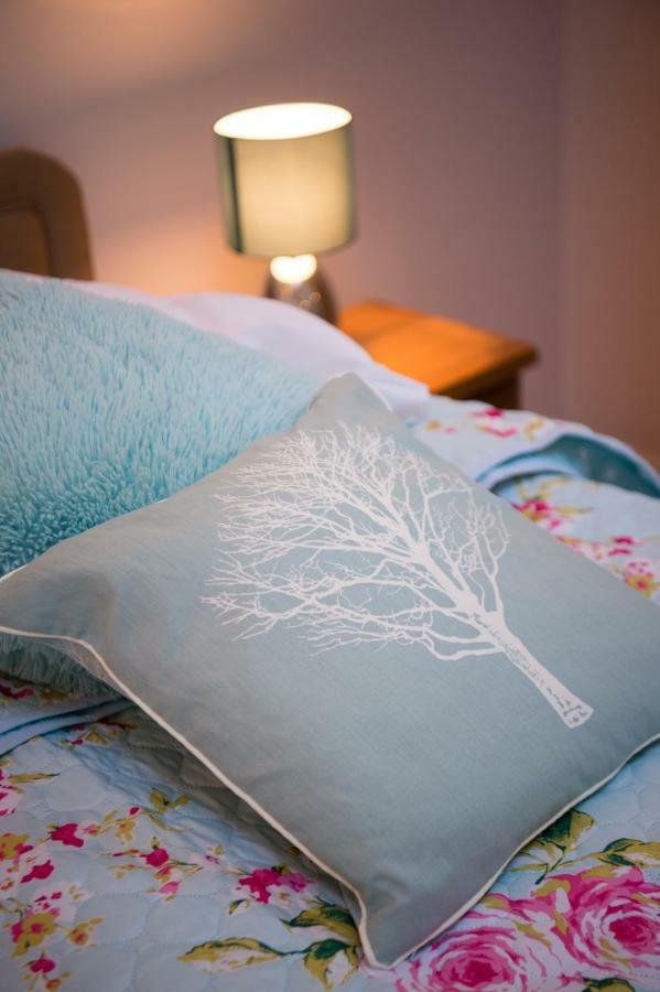 Bed and Breakfast Y Grange Llanfihangel-y-Creuddyn Zewnętrze zdjęcie